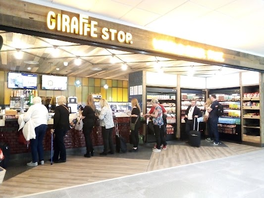 giraffe-stop